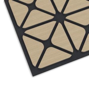 496 akustiline kroonleht disainiga paneel